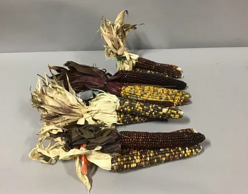 Indian corn bunches 