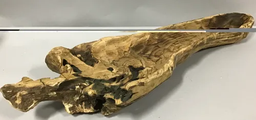 root carved into bowl 