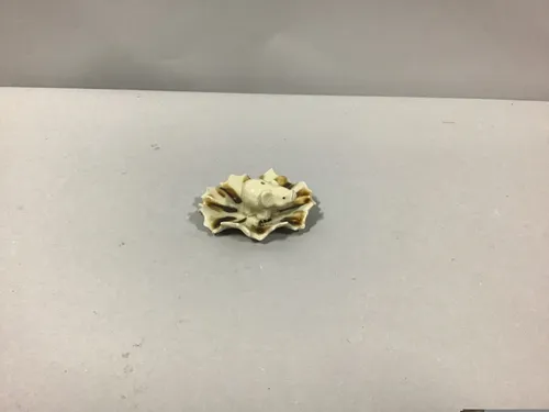 ceramic elephant ring dish 4