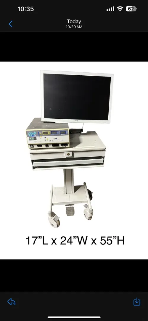 Endoscopia video system 