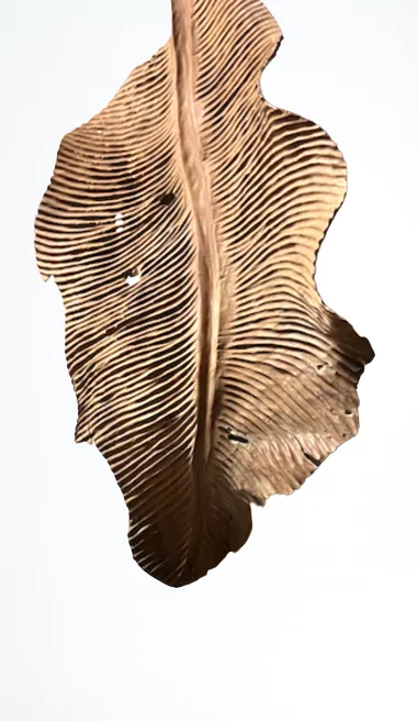 made goods wood ash banana leaf wall small art 