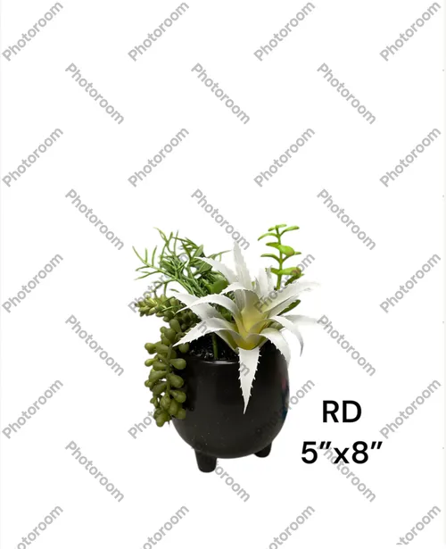 fake plant succulent 5x8