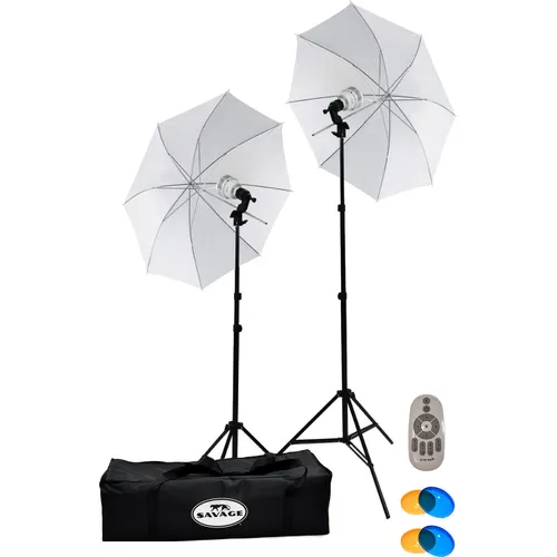 500W Single Light Kit