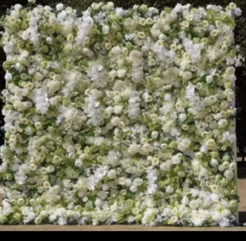 White orchid bloom flower wall Rental 8ft by 8ft