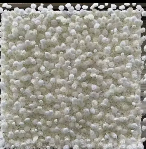 White rose garden flower wall Rental 8ft by 8ft