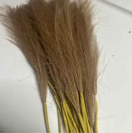Small Brown Feathers