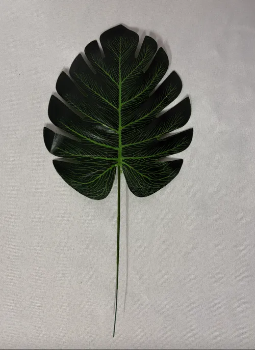Tropical Filler 4