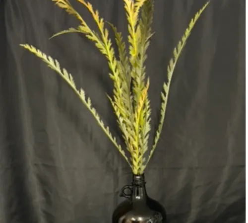 Fall Fern Bush (Artificial)