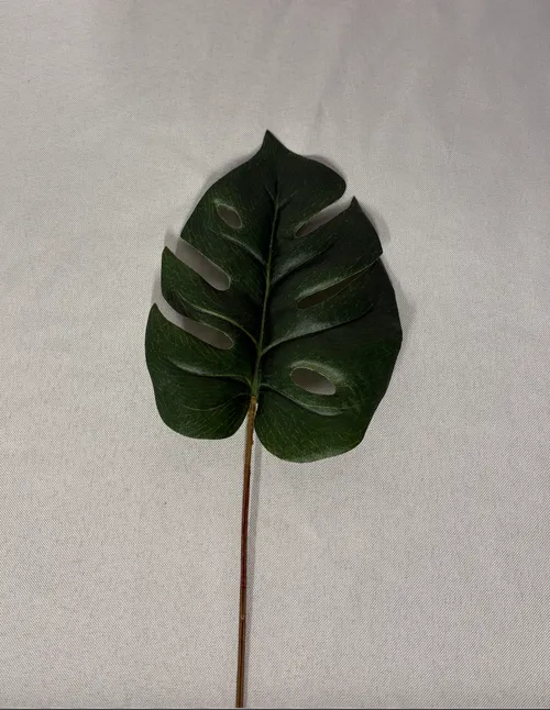 Tropical Filler 2