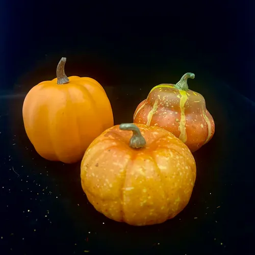 Small Orange Pumpkins