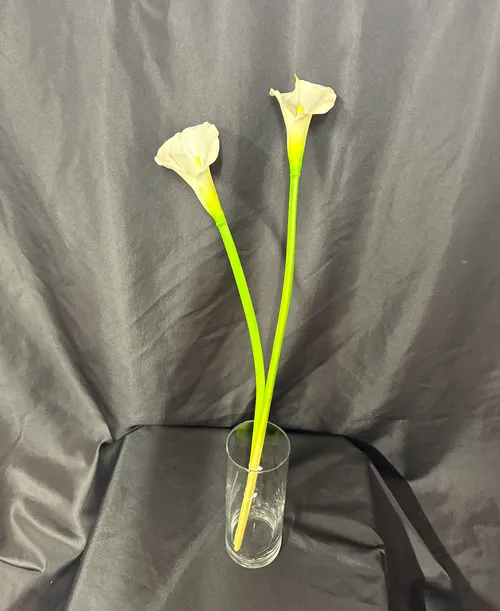 White Premade Modern Vase  Arrangement 1
