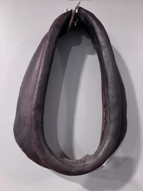 Horse Collar