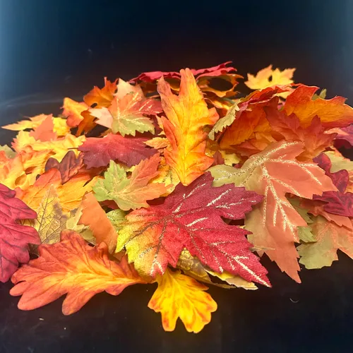 Bulk Fall Leaves