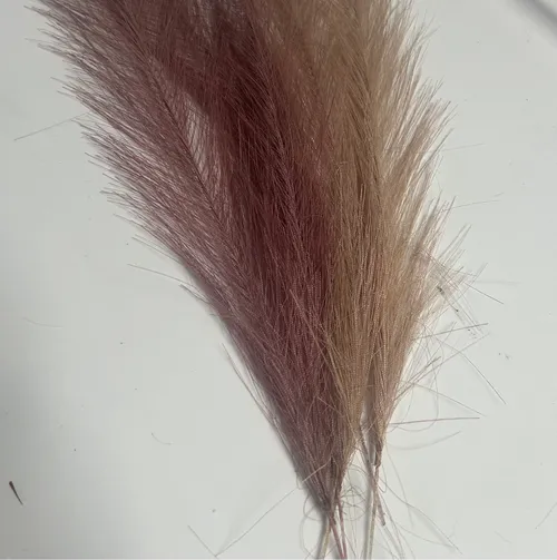 Small Purple Feathers