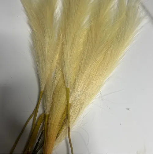 Medium Ivory Feathers