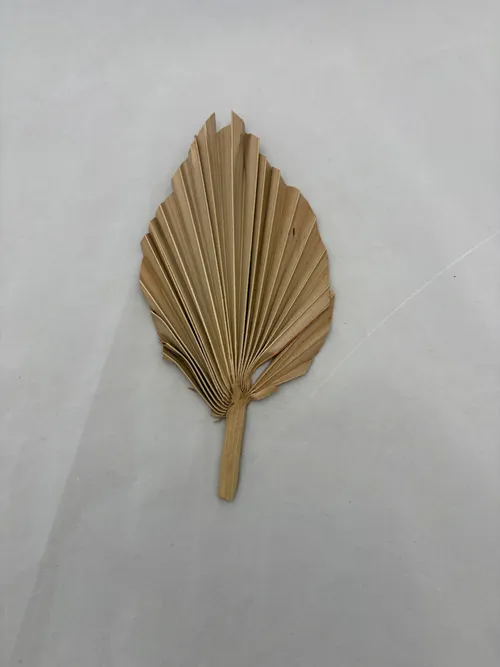 Small Natural Palm