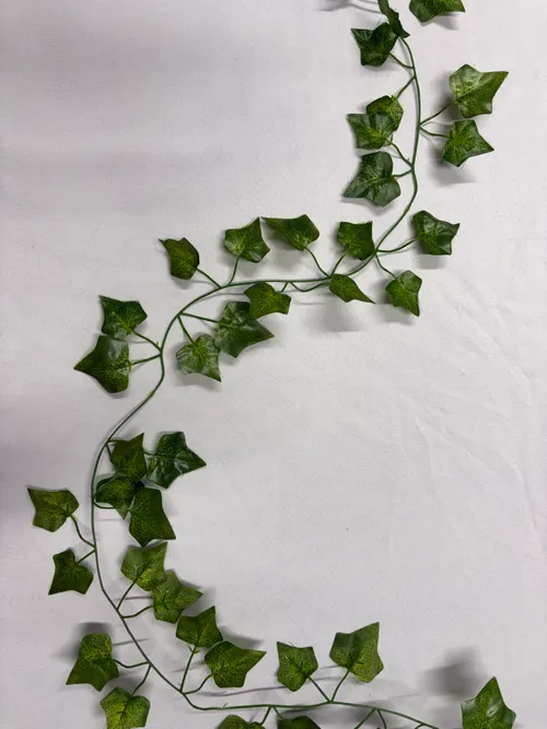 Ivy 1 Garland