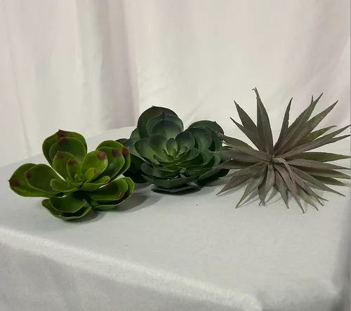 Large Artificial Succulent 