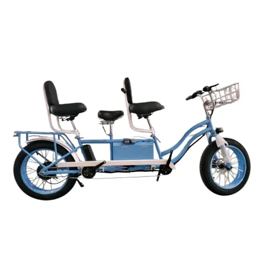 TANDEM electrically assisted 