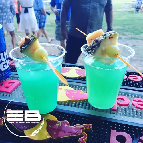 Gourmet Fruit Garnish (bartender add on only)