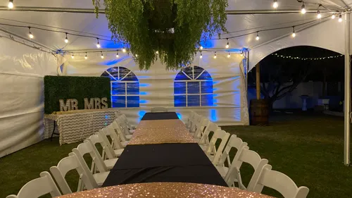 Hanging 8ft Greenery Ladder 