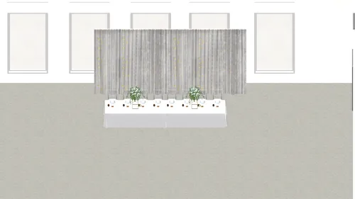 12'(T) x 20'(W) White Sheer Head Table Backdrop W Curtain Lights