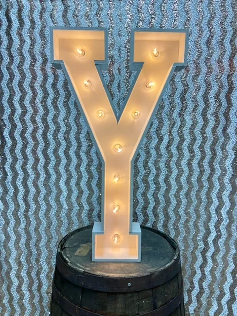 36in Light Up Marquee Letter Y