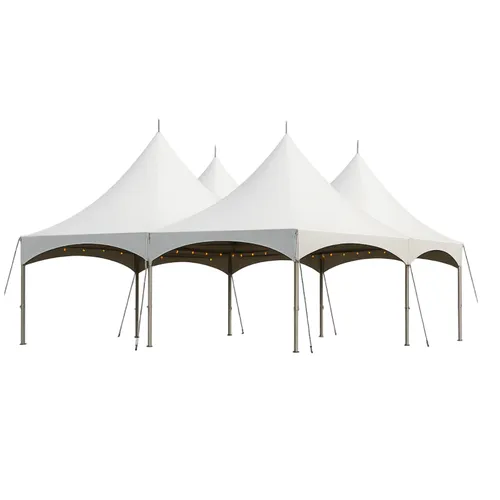30x40 Marquee Tent (No Walls)