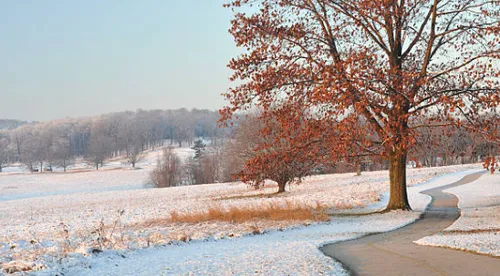 New Year's Group Ride
