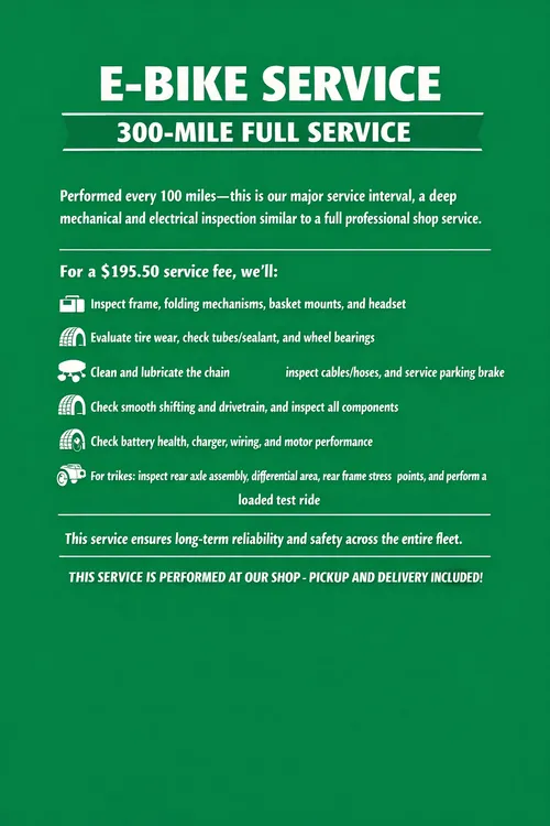 E-Bike Service 300 Mile Full Service