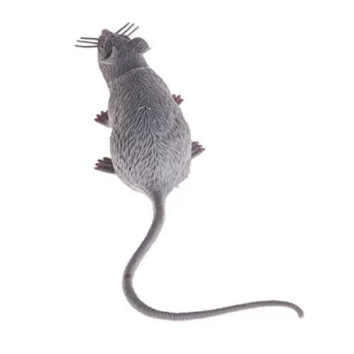 Rat- Grey