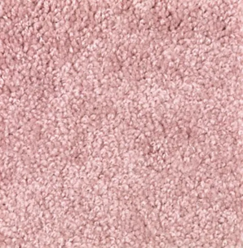 Pink Carpet