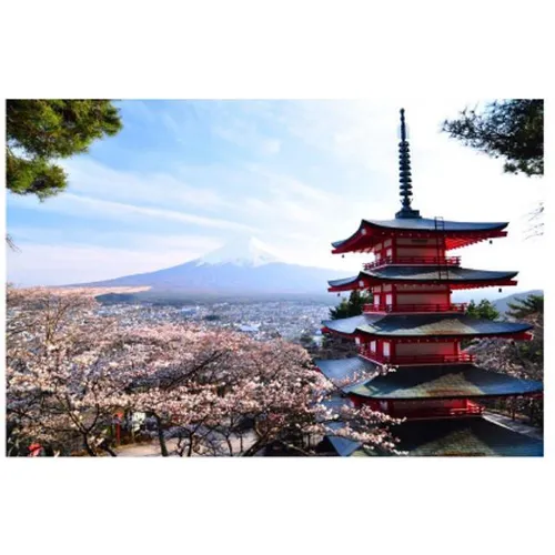 Mt. Fuji Backdrop