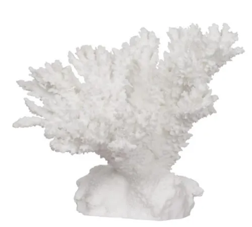 Coral - White