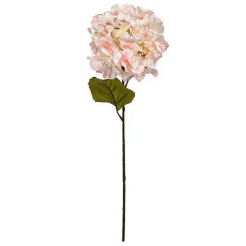 Hydrangea- Light Pink