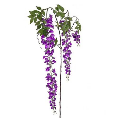 Wisteria- Violet