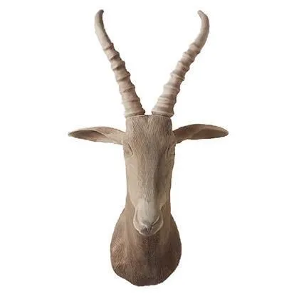 Gemsbok Head