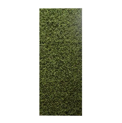 Boxwood Hedge Wall