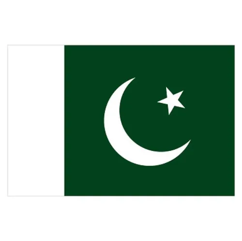 Pakistan Flag - Small