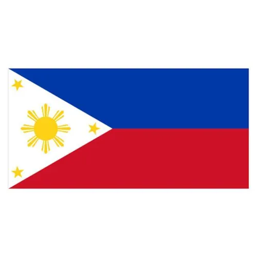 Philippines Flag - Small