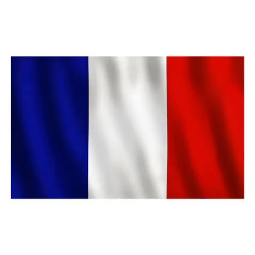 France Flag - Small