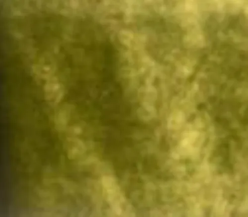Elizabeth Apple Green Velvet Linen
