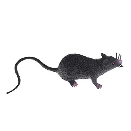 Rat- Black
