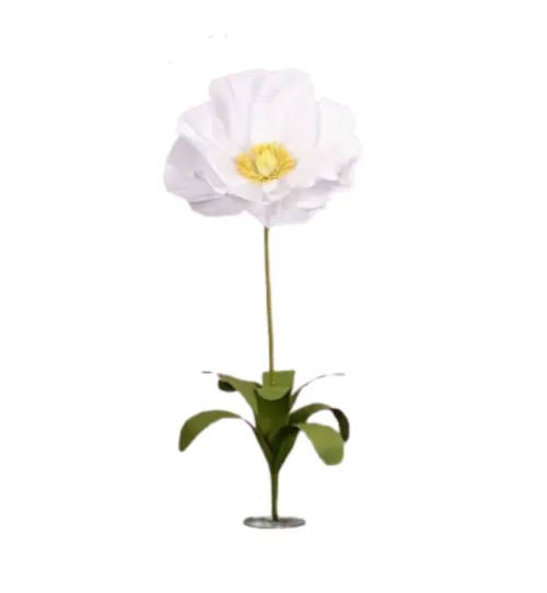 Poppy Flowers