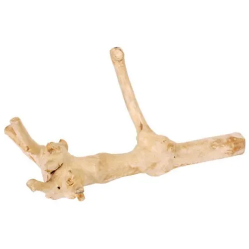 Sanded Branch
