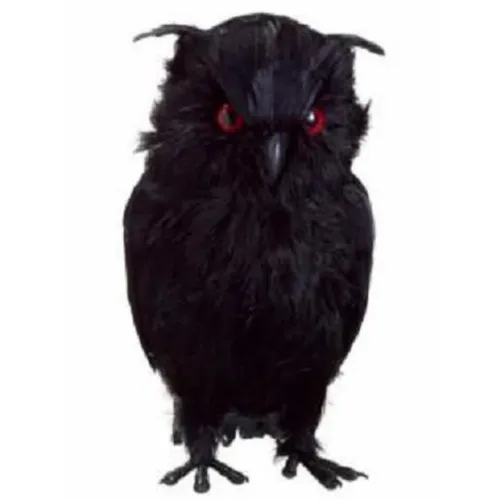 Spooky Owl