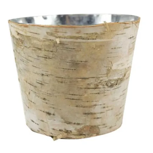 Birchwood Vase - Medium