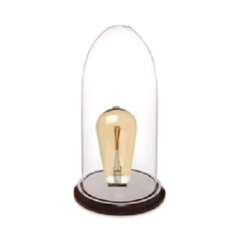 Glass Edison Cloche - Small