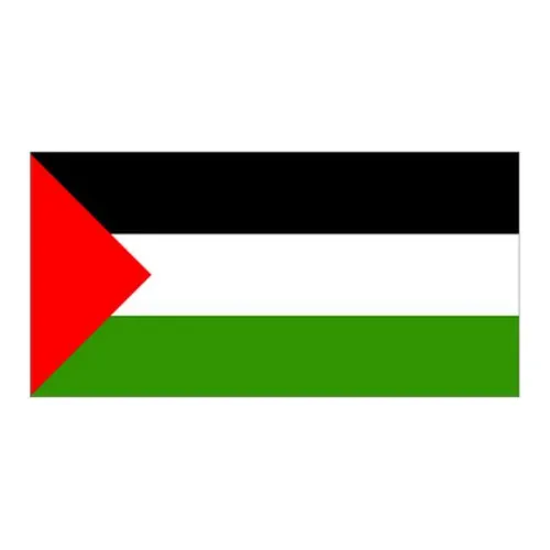 Palestine Flag - Small
