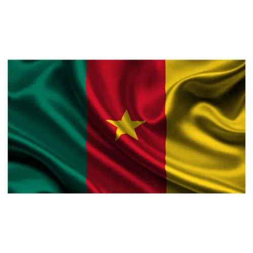 Cameroon Flag - Large